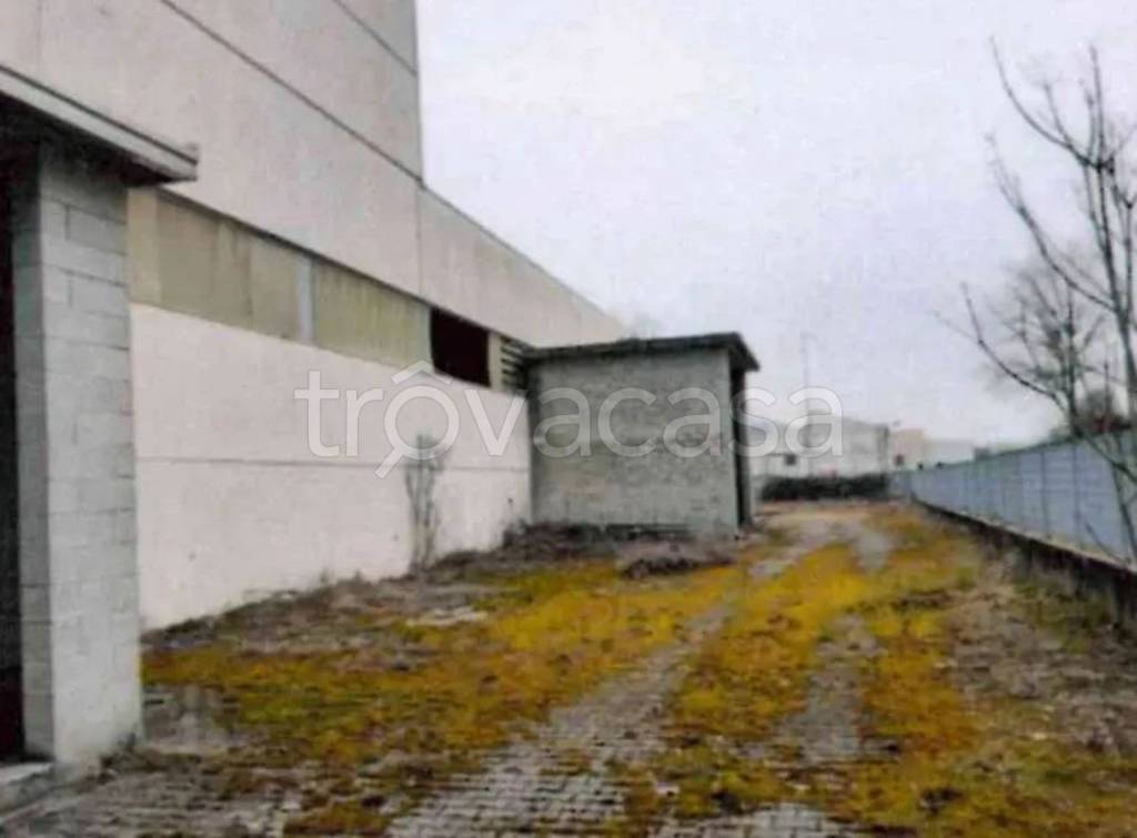 immagine annuncio 6 di 11