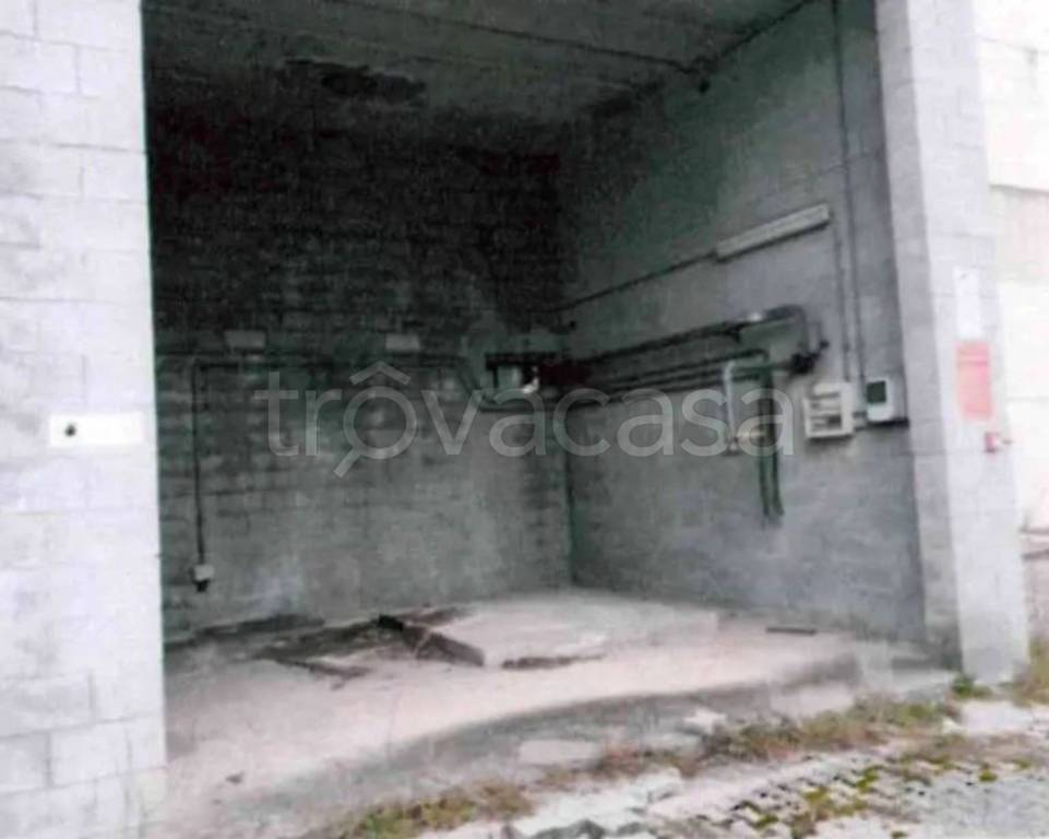 immagine annuncio 7 di 11