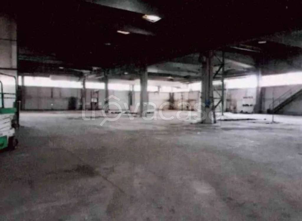 immagine annuncio 9 di 11