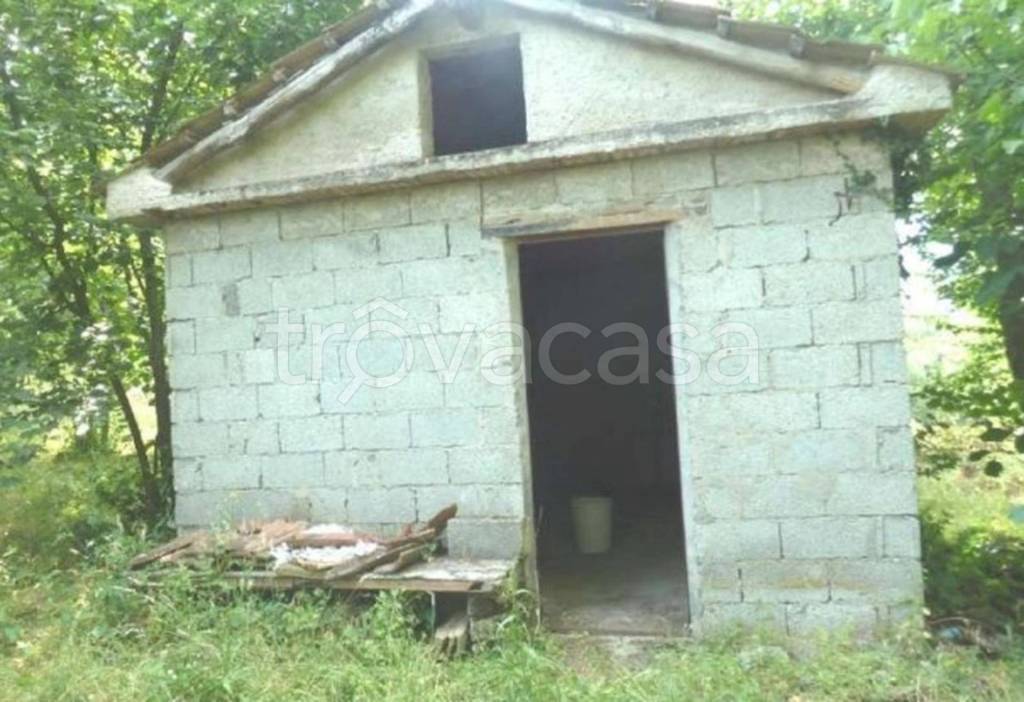 immagine annuncio 8 di 11