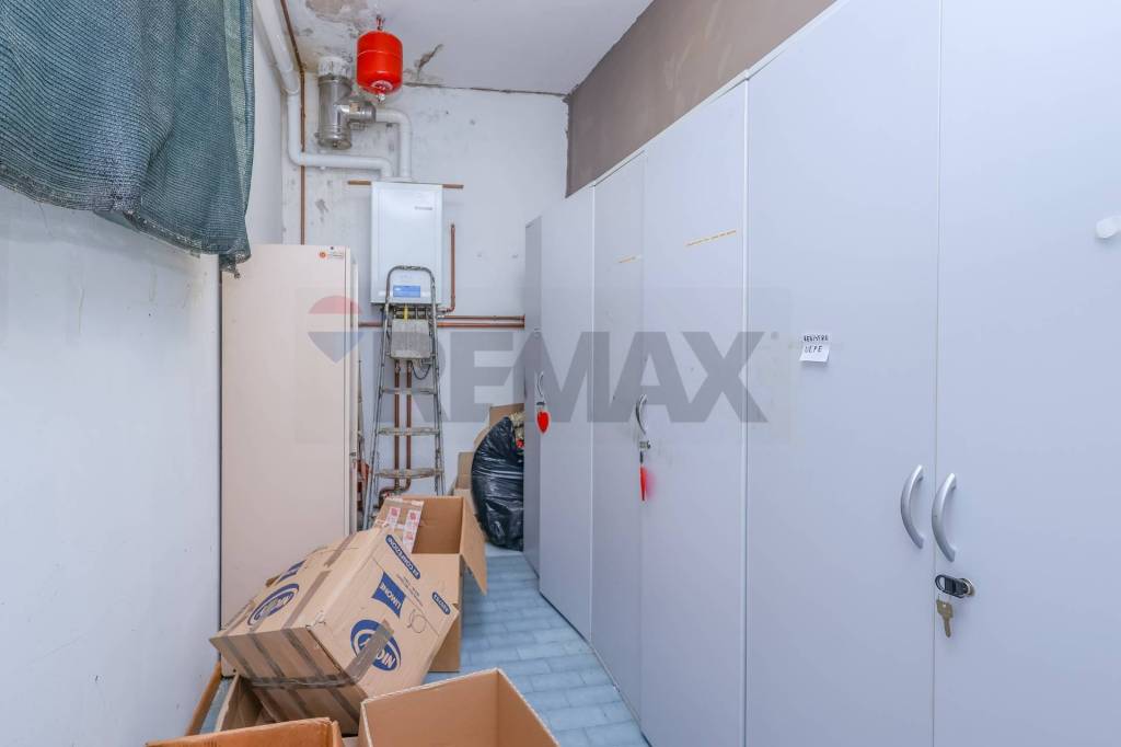 immagine annuncio 11 di 14