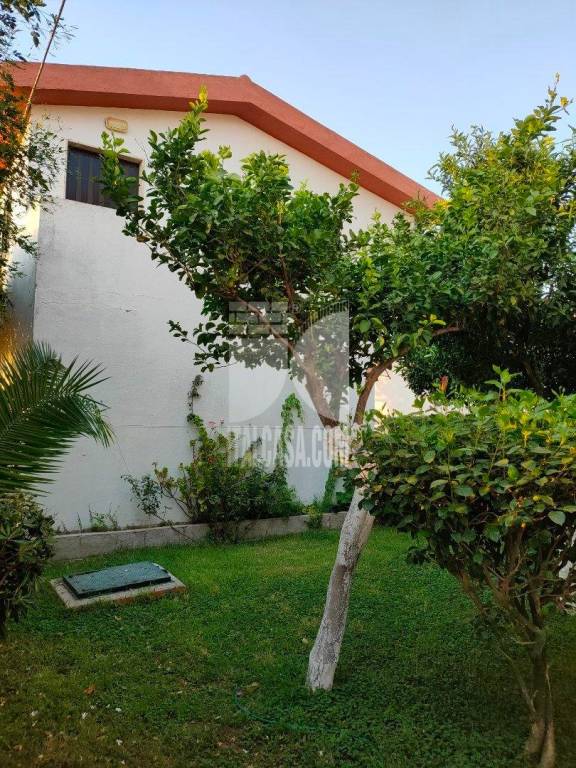 immagine annuncio 5 di 6