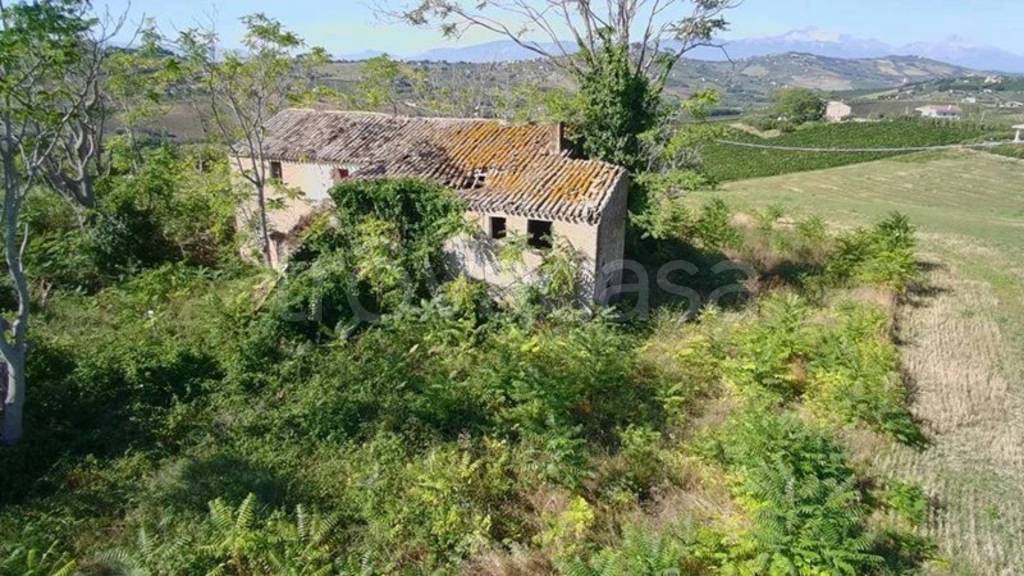 immagine annuncio 8 di 13