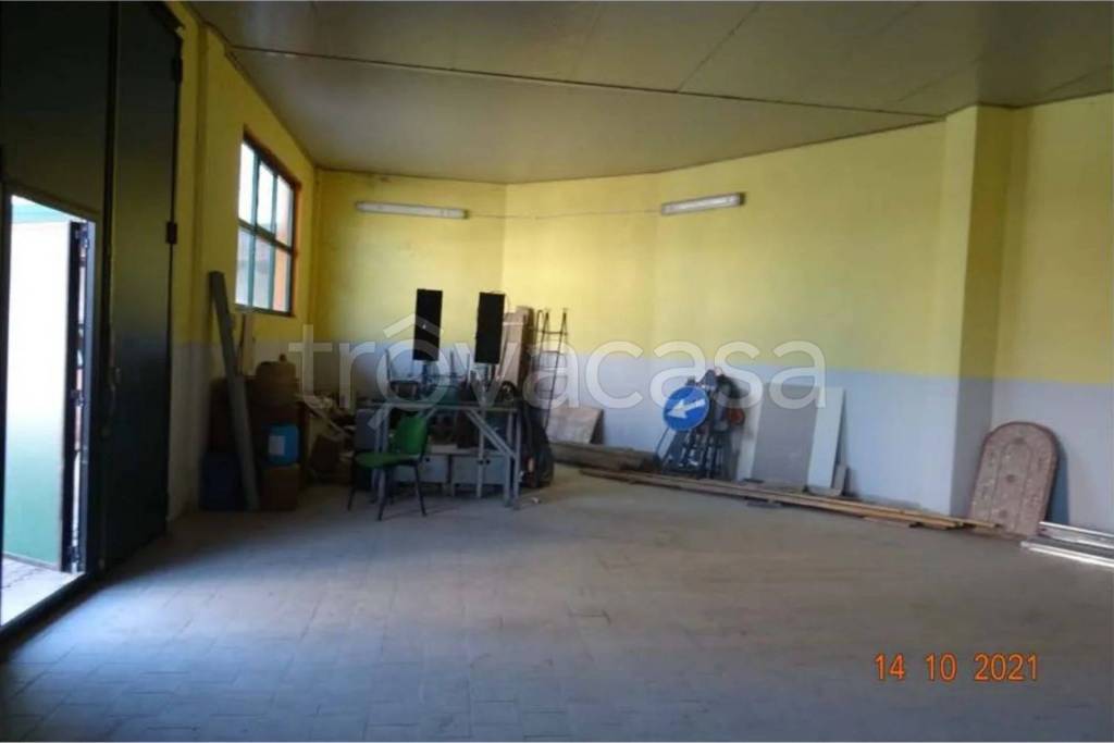 immagine annuncio 10 di 11