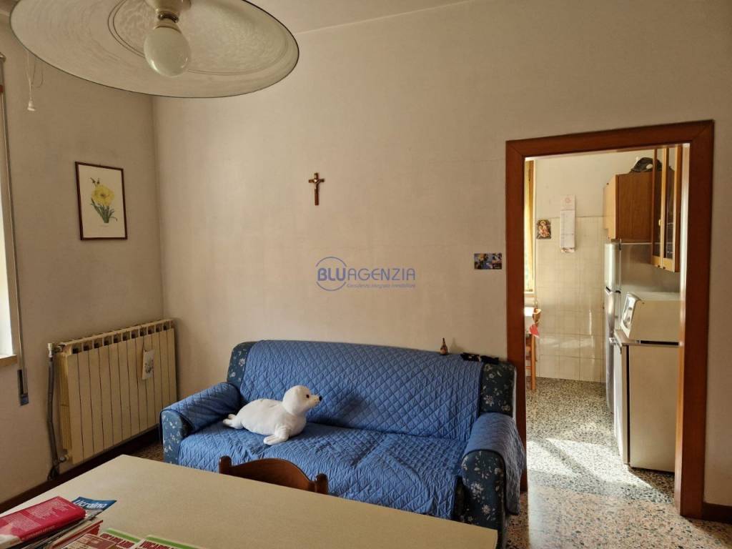 immagine annuncio 4 di 12