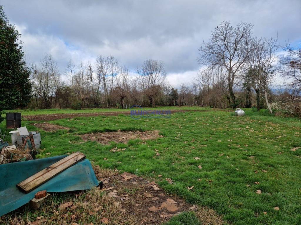 immagine annuncio 11 di 12