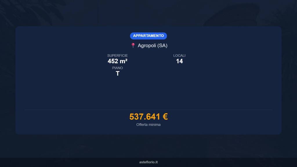 immagine annuncio 14 di 15