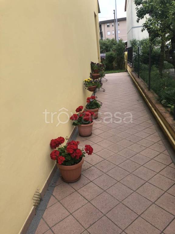 immagine annuncio 3 di 12