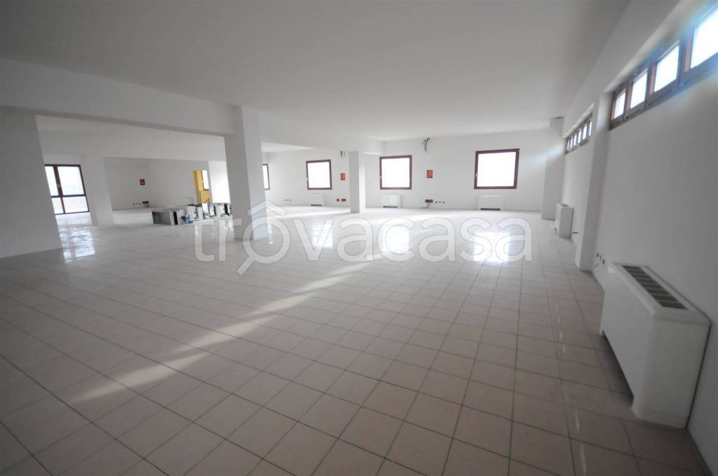 immagine annuncio 5 di 8