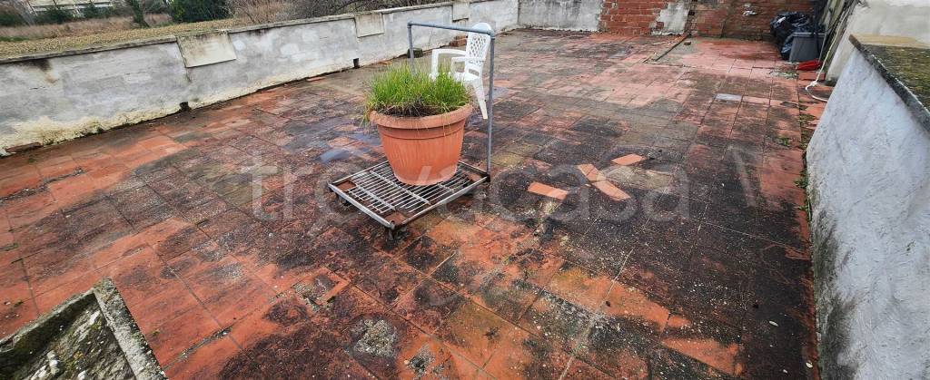 immagine annuncio 4 di 12