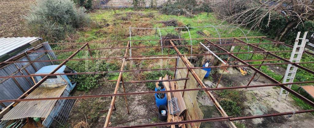 immagine annuncio 5 di 12