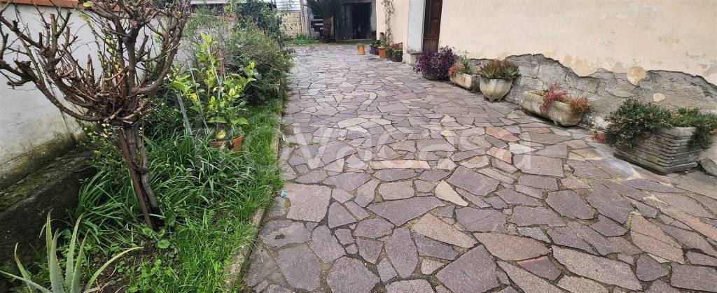 immagine annuncio 10 di 12