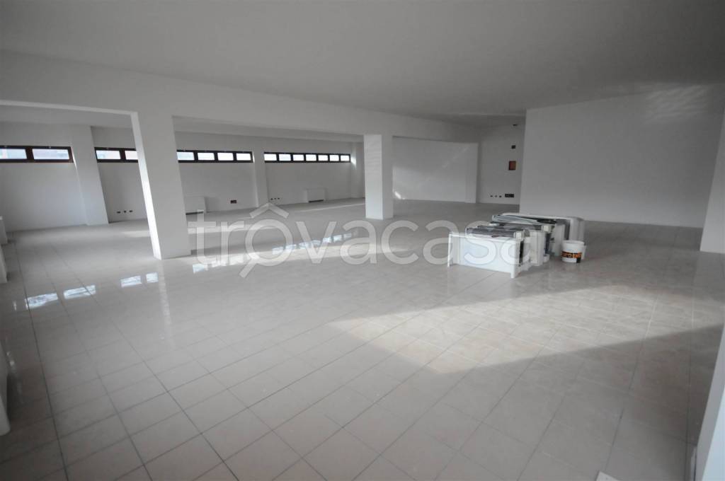 immagine annuncio 3 di 8