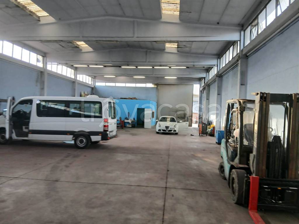 immagine annuncio 3 di 7