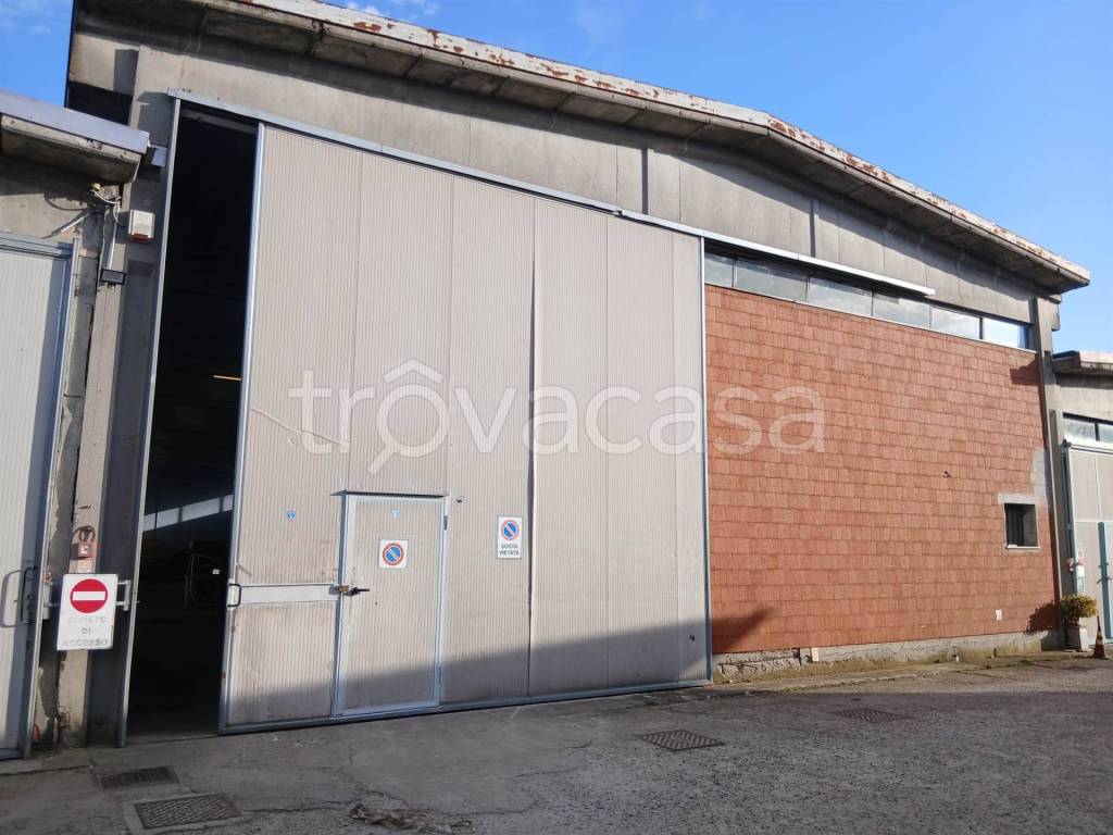 immagine annuncio 4 di 7