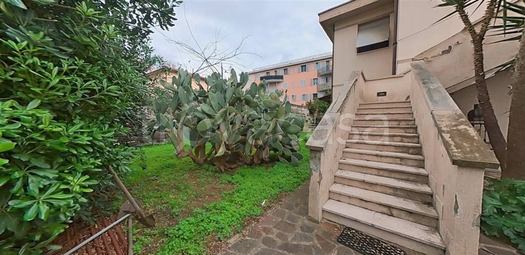 immagine annuncio 3 di 14