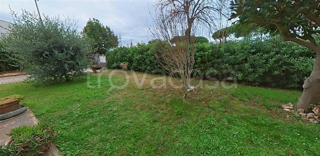 immagine annuncio 8 di 14