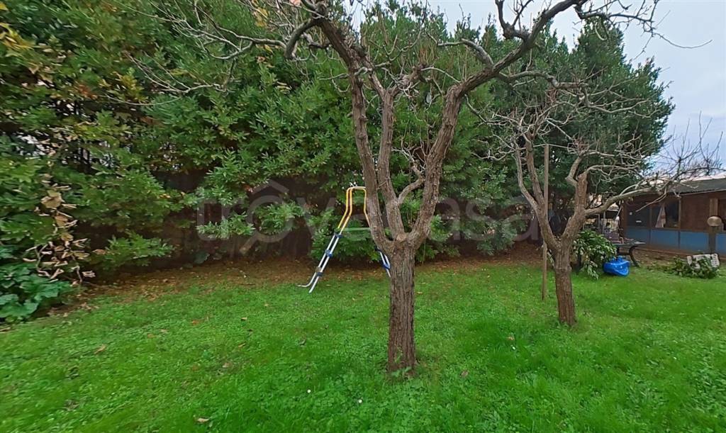 immagine annuncio 12 di 14