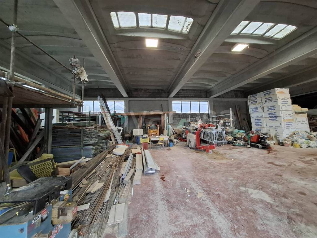 immagine annuncio 10 di 15