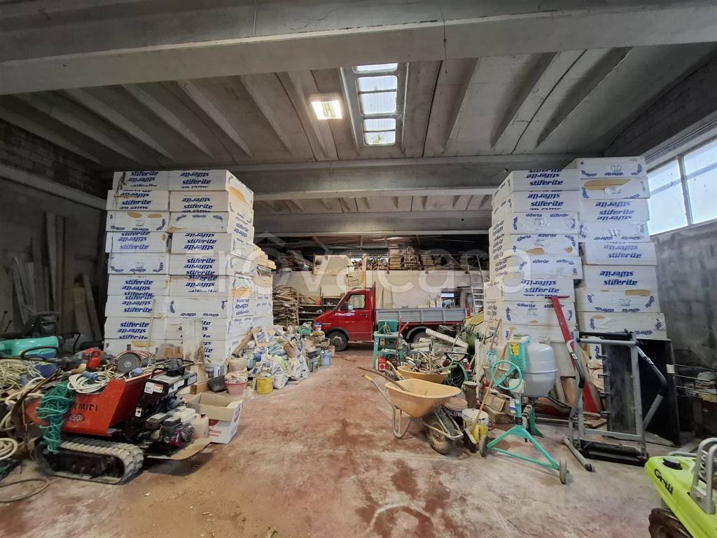 immagine annuncio 11 di 15