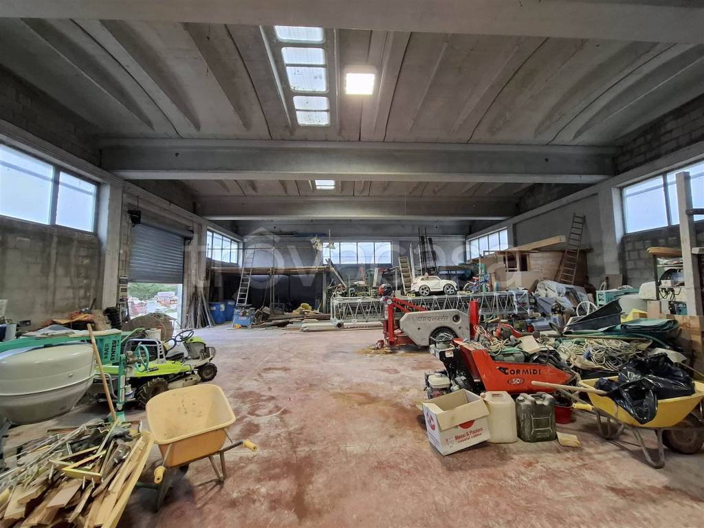 immagine annuncio 12 di 15