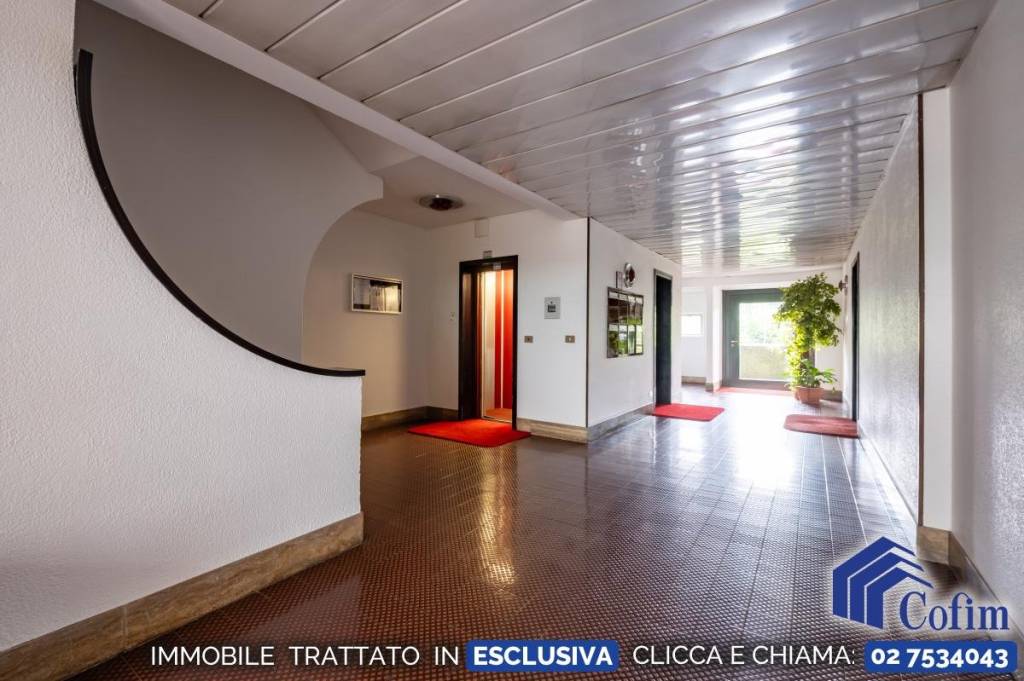 immagine annuncio 11 di 13