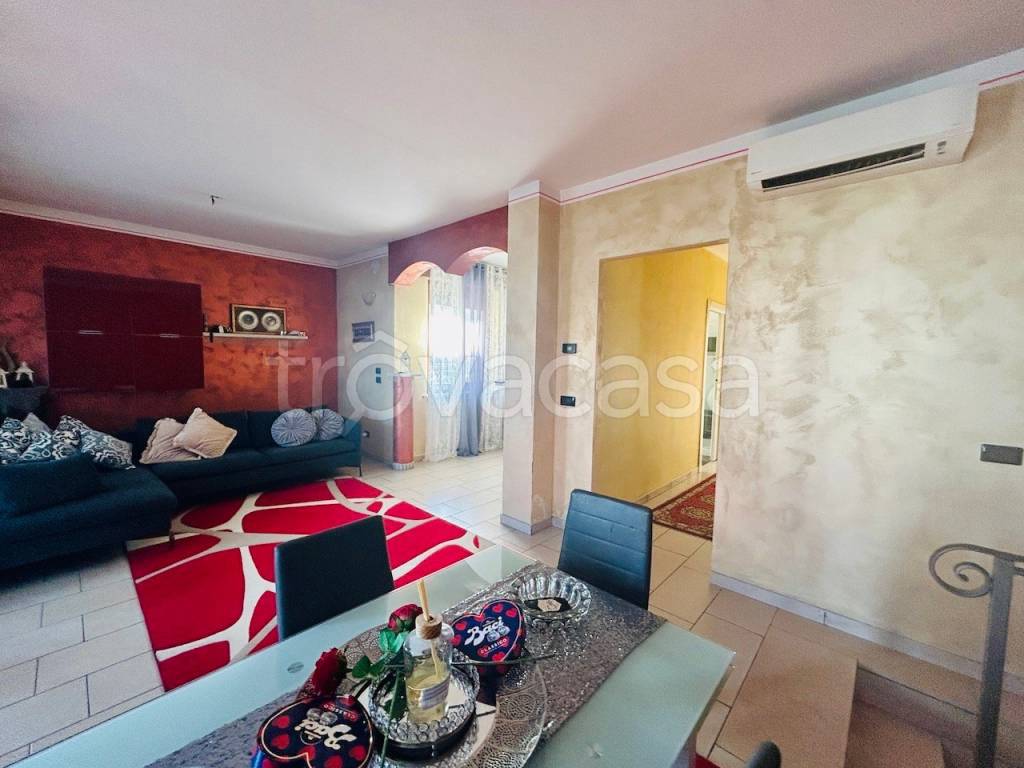 immagine annuncio 5 di 14