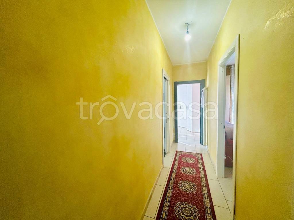 immagine annuncio 6 di 14