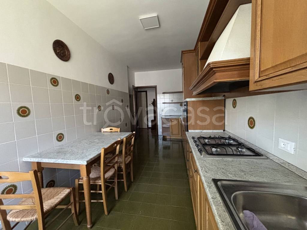 immagine annuncio 1 di 14