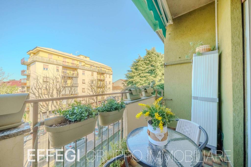 immagine annuncio 11 di 14