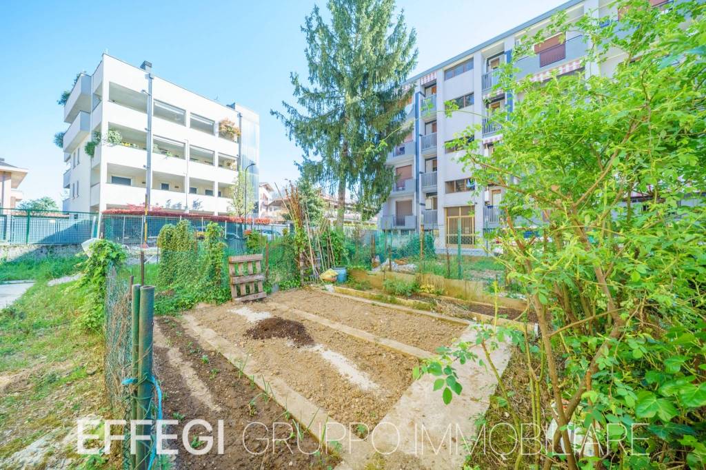 immagine annuncio 12 di 14