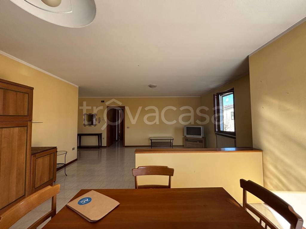 immagine annuncio 3 di 14