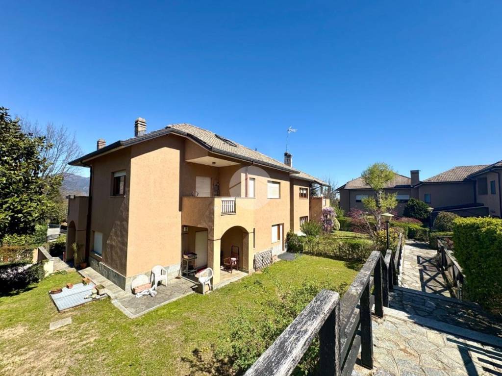 immagine annuncio 1 di 15