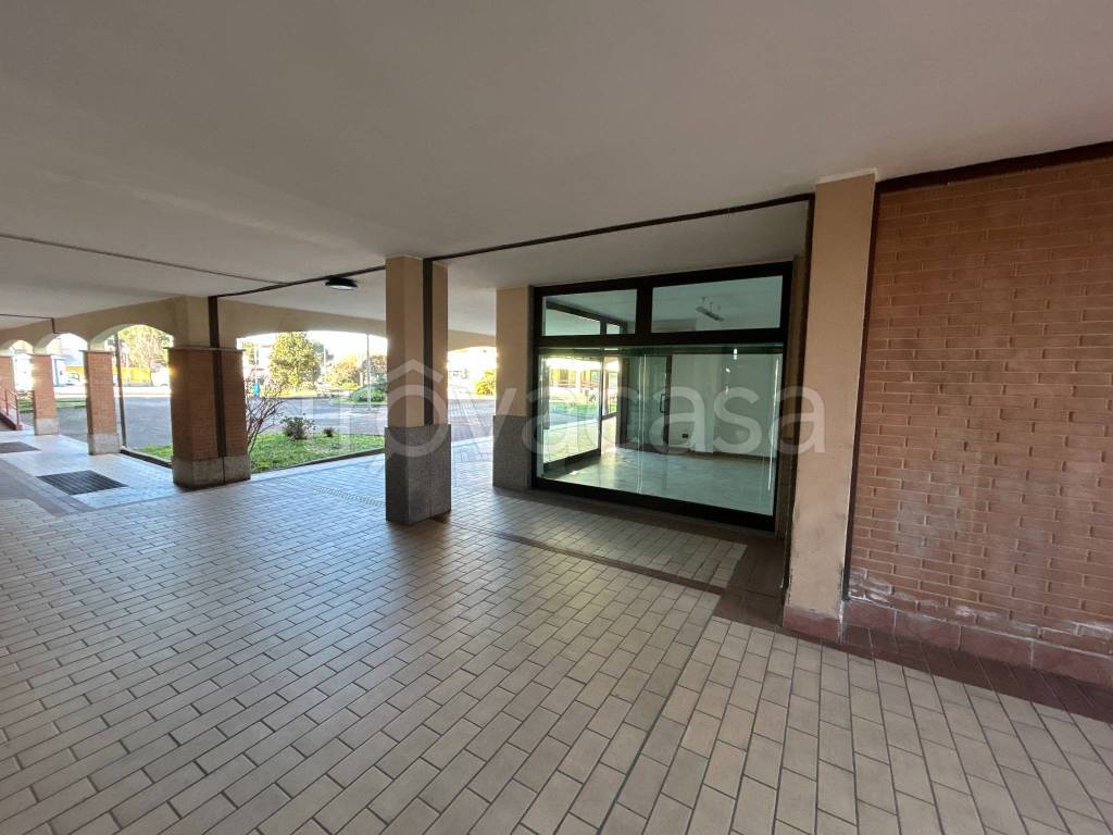 immagine annuncio 3 di 6