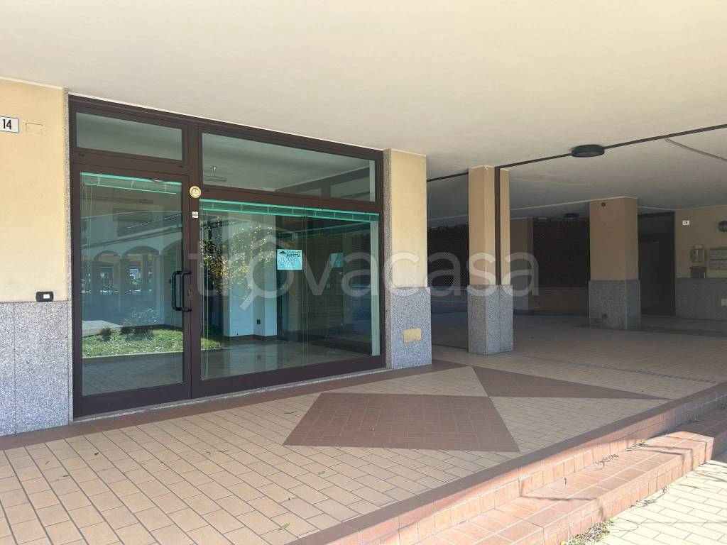 immagine annuncio 2 di 6