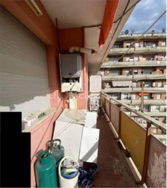 immagine annuncio 3 di 11