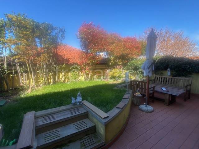 immagine annuncio 10 di 12