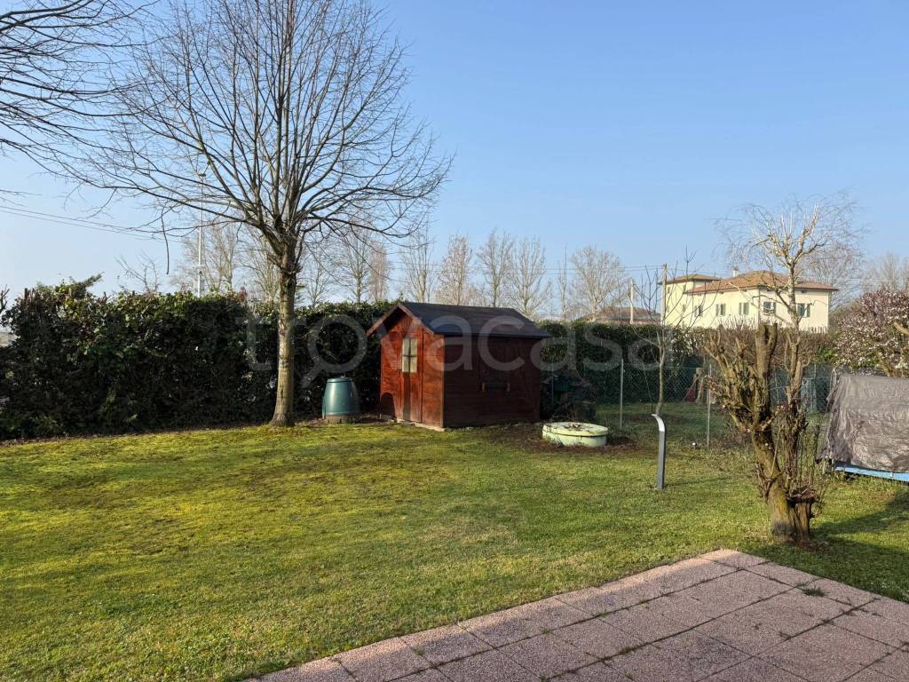 immagine annuncio 11 di 15