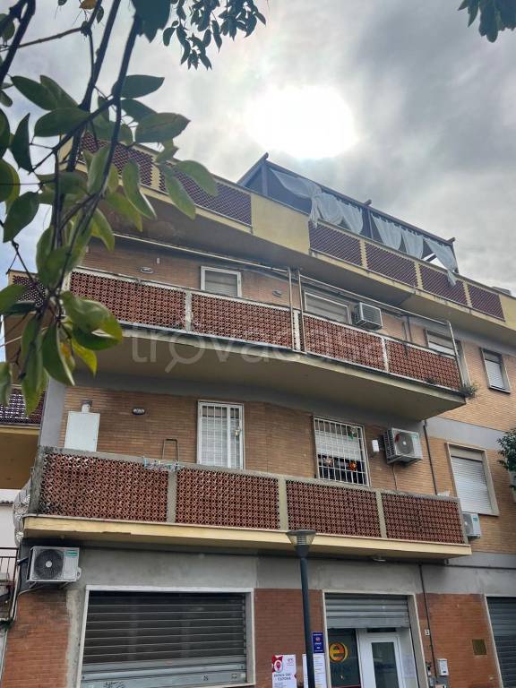 immagine annuncio 12 di 15