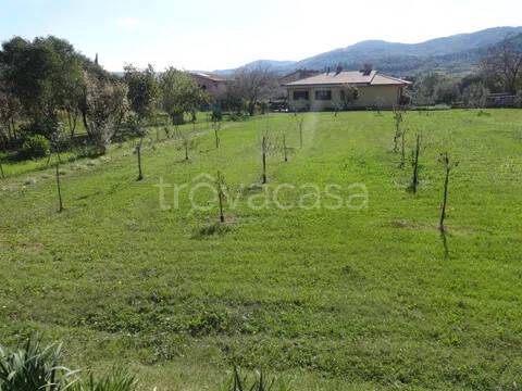 immagine annuncio 1 di 4