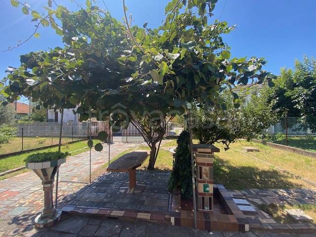 immagine annuncio 1 di 3