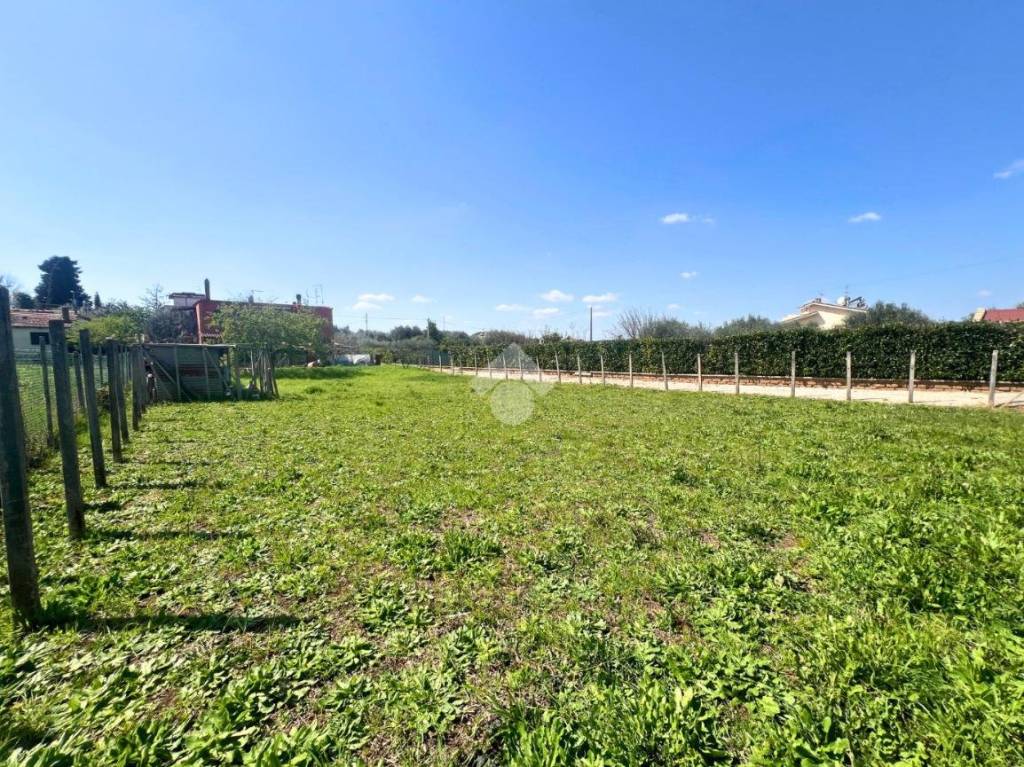 immagine annuncio 1 di 7