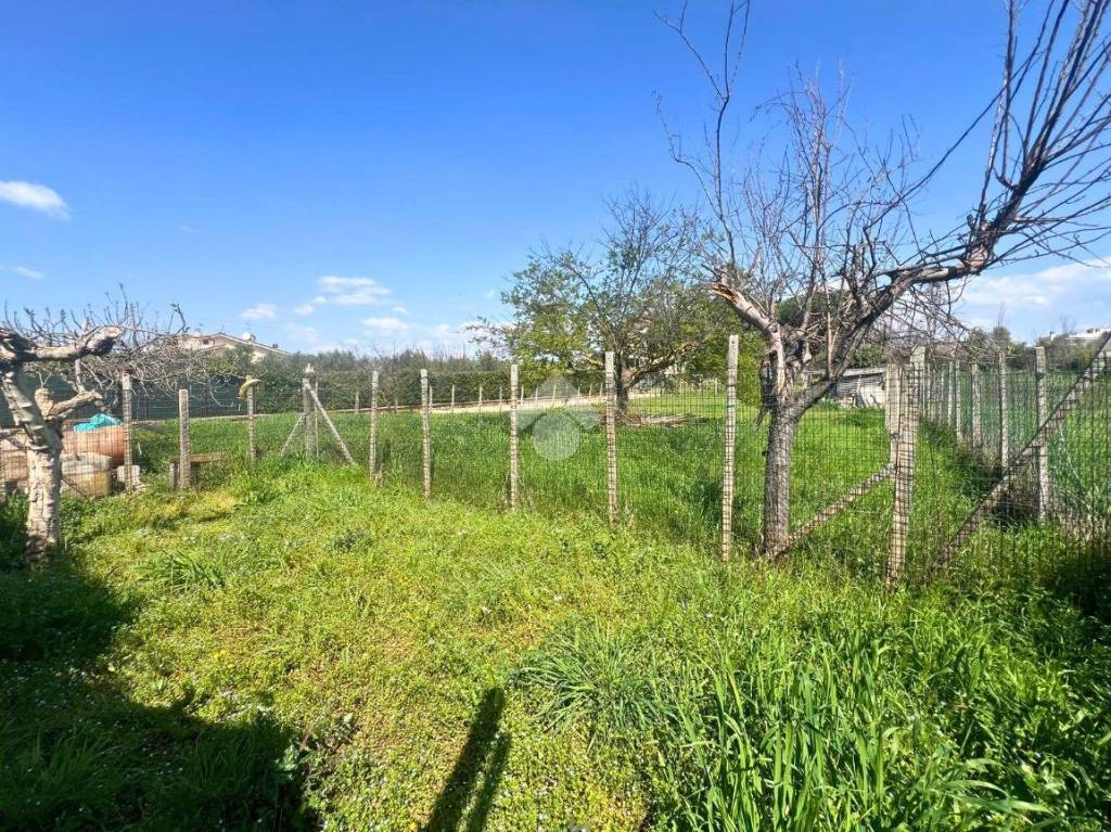 immagine annuncio 2 di 7