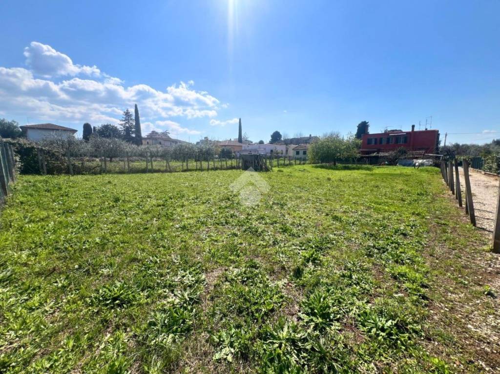 immagine annuncio 3 di 7