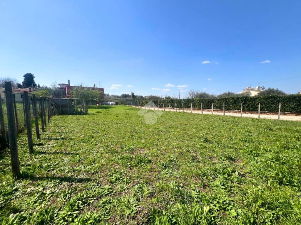 immagine annuncio 4 di 7