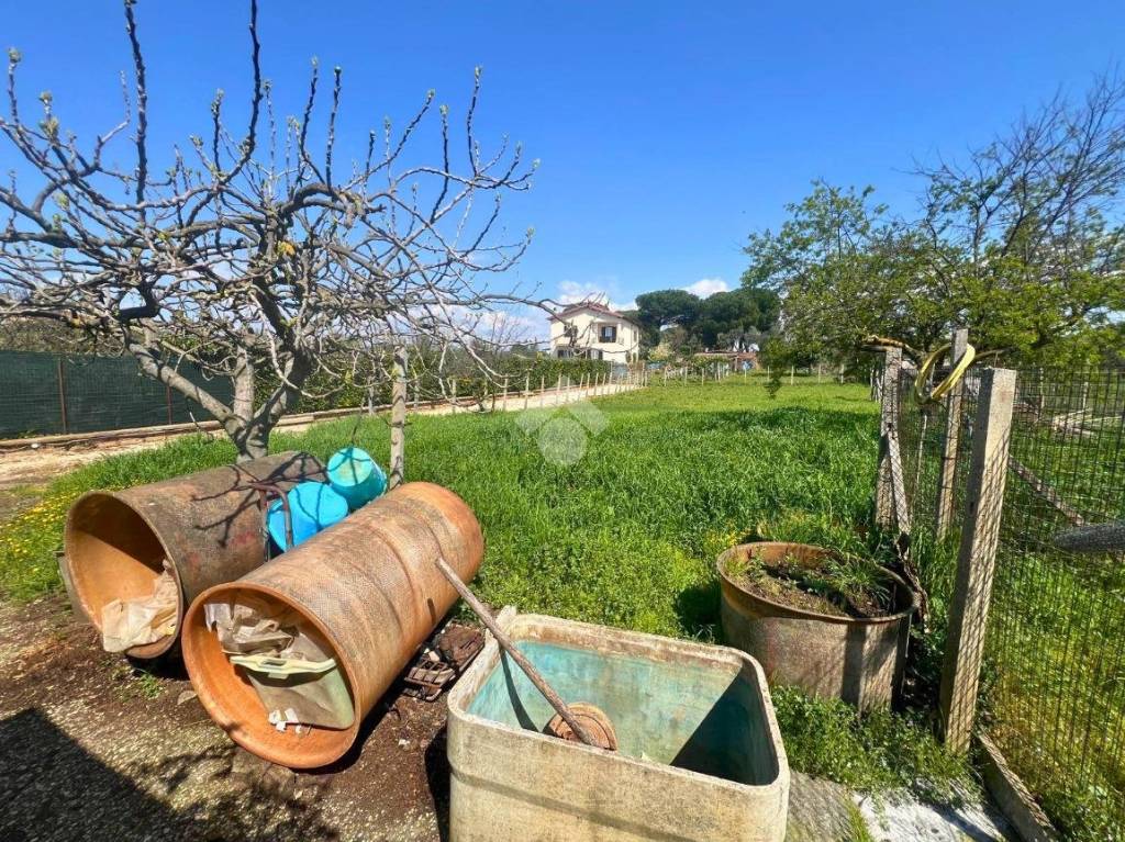 immagine annuncio 5 di 7