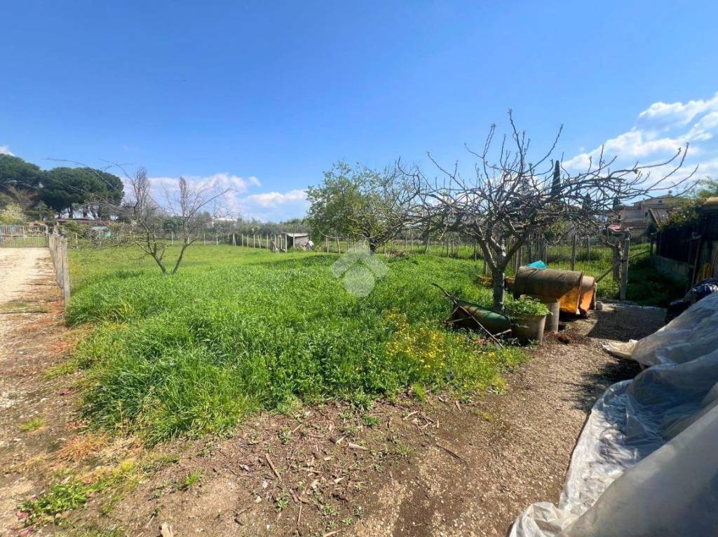 immagine annuncio 6 di 7