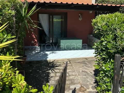 immagine annuncio 5 di 14