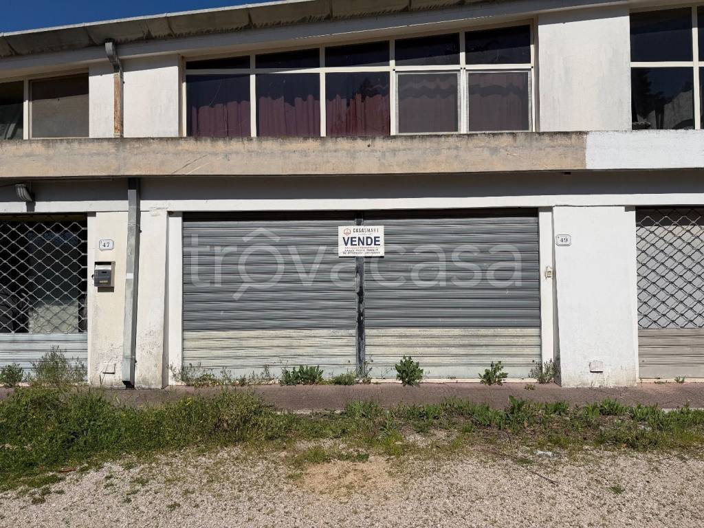 immagine annuncio 1 di 14