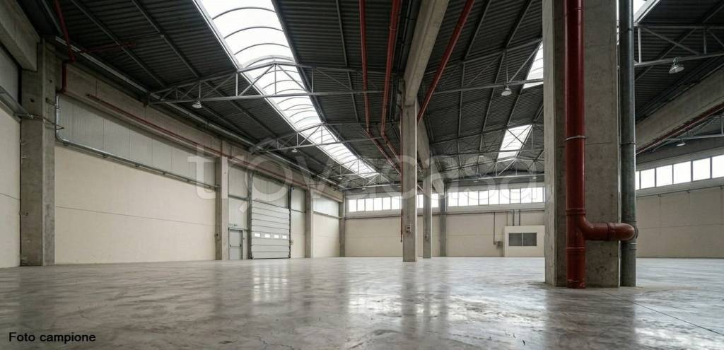 immagine annuncio 2 di 4